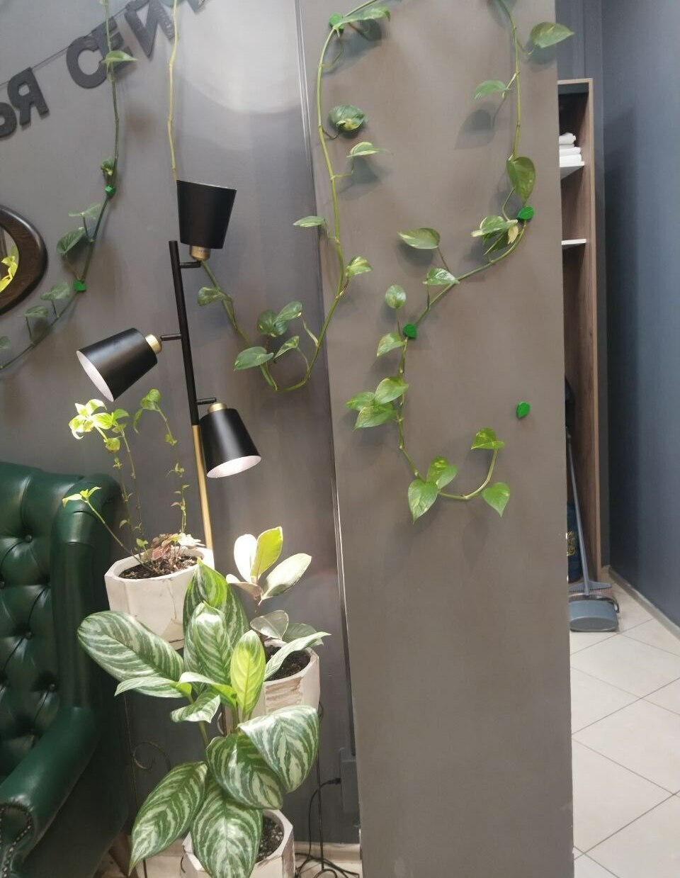 Озеленение салона красоты